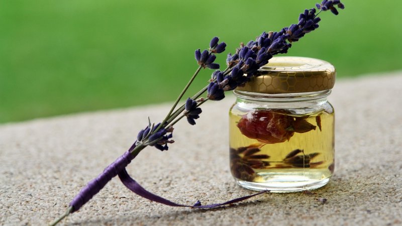 Zdjęcie: Aromaterapia i rośliny w sypialni: co naprawdę działa na sen, a co to mit